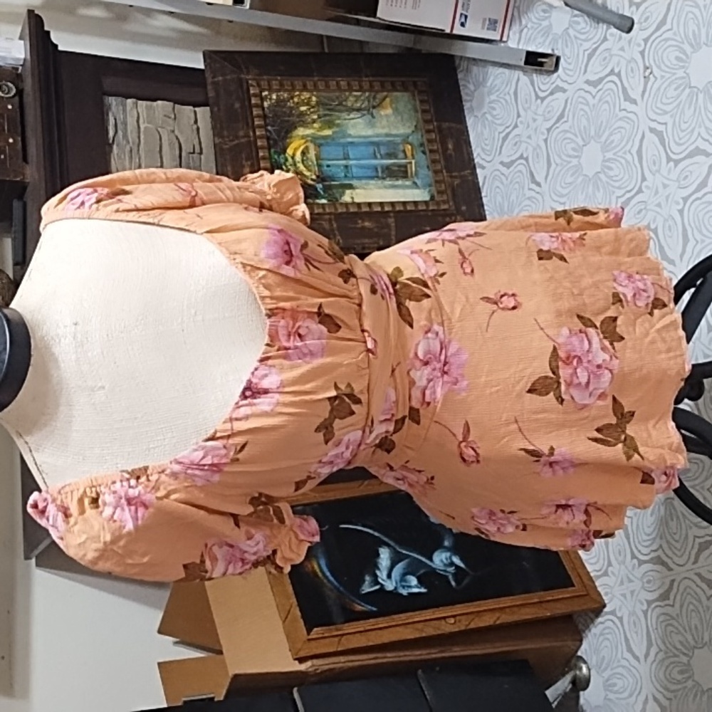 Womens Blouse dressy sz XL peachy Pinks Floral tie waist b44 BLOOMFIELD